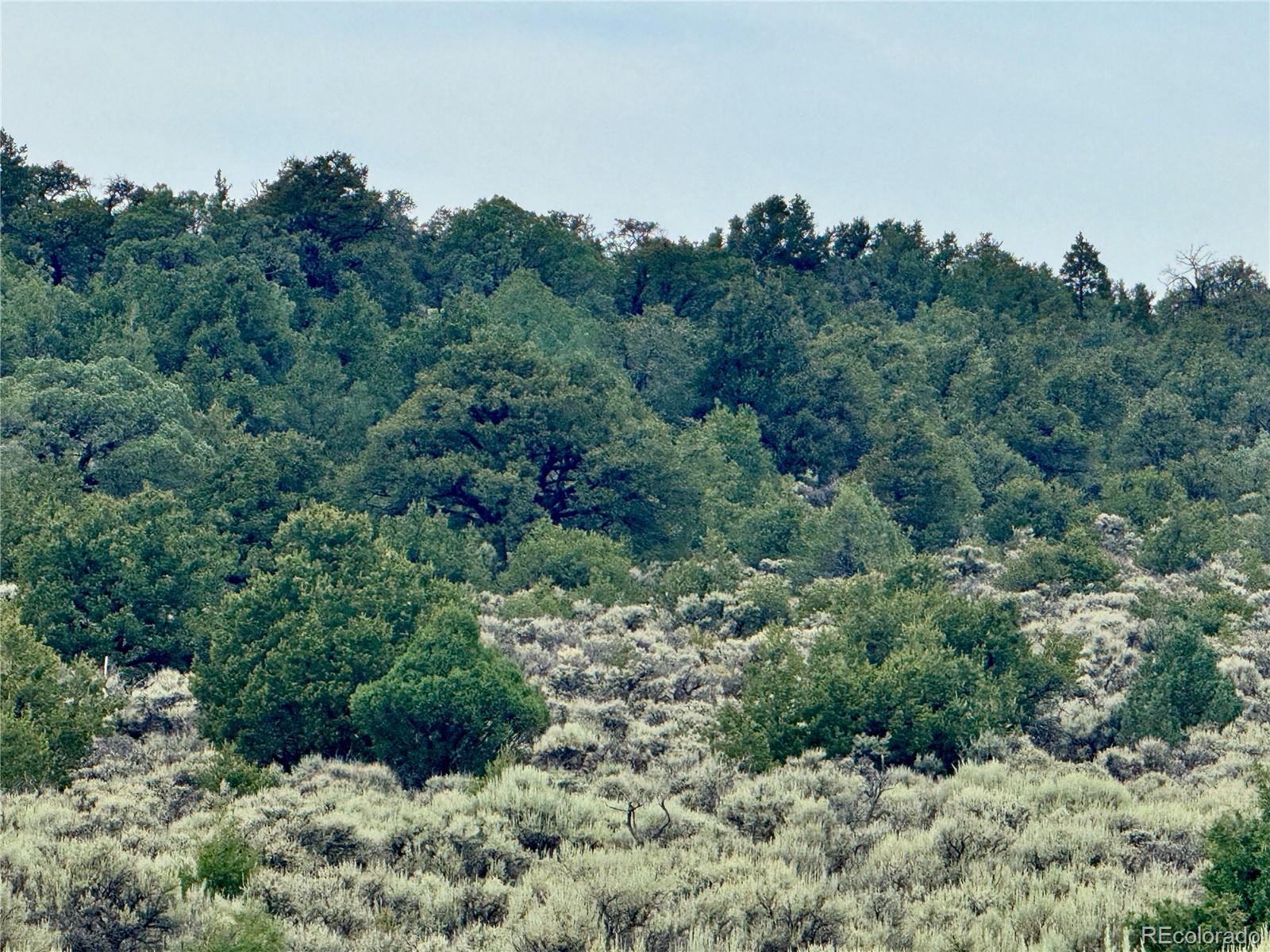 Lot 38 Wildhorse Drive San Luis CO 81152