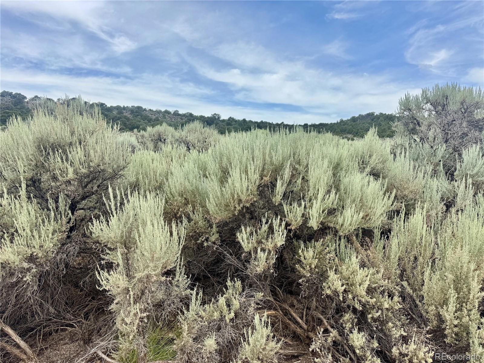 Lot 38 Wildhorse Drive San Luis CO 81152
