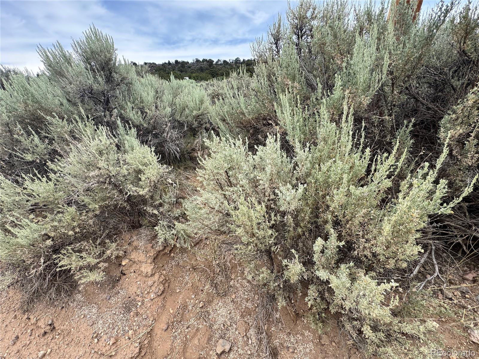 Lot 38 Wildhorse Drive San Luis CO 81152