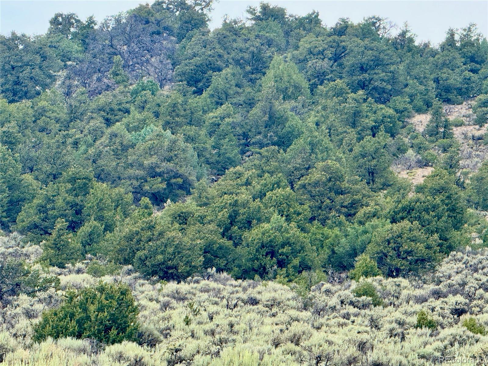 Lot 38 Wildhorse Drive San Luis CO 81152