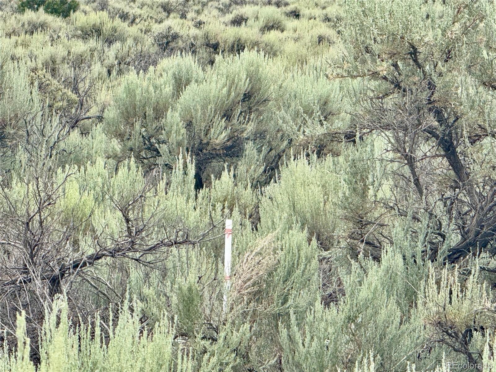 Lot 38 Wildhorse Drive San Luis CO 81152