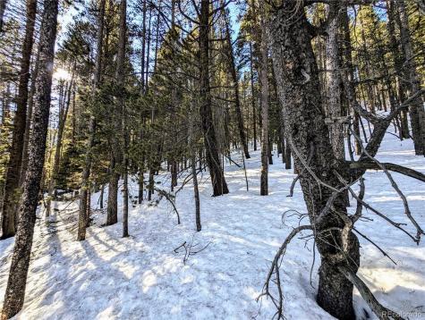 Lot 677 Alice Road Idaho Springs CO 80453