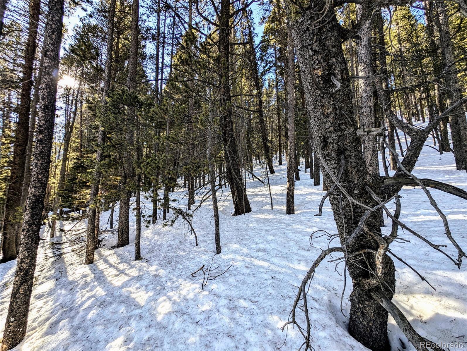 Lot 677 Alice Road Idaho Springs CO 80453