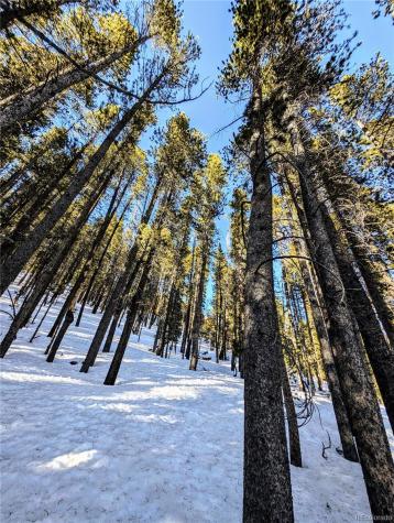 Lot 677 Alice Road Idaho Springs CO 80453