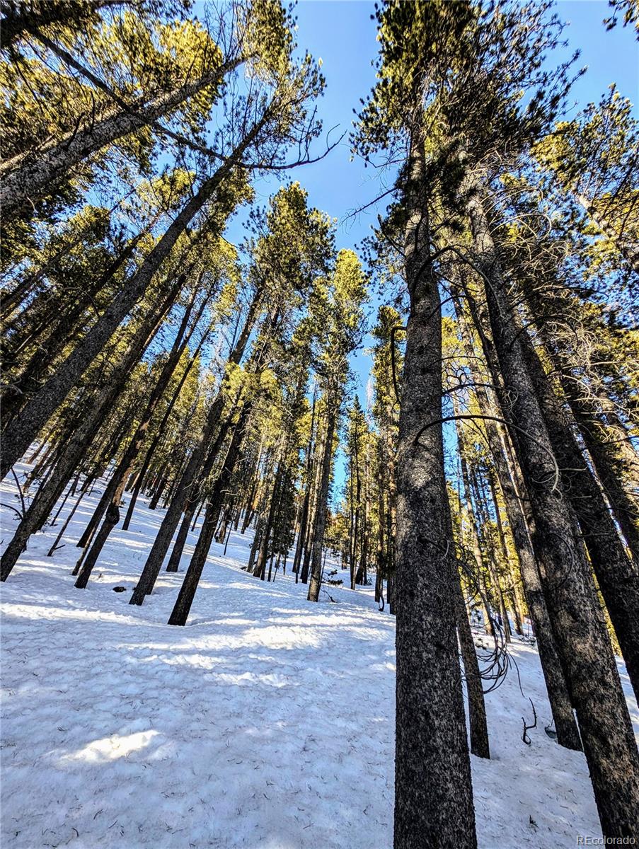 Lot 677 Alice Road Idaho Springs CO 80453