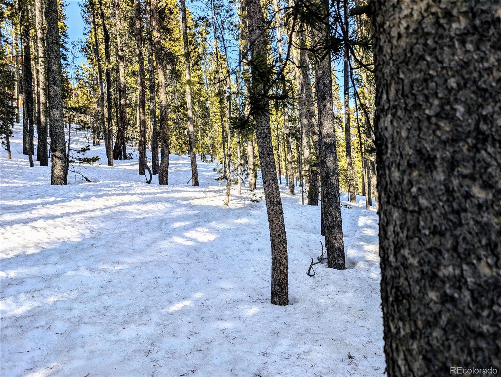 Lot 677 Alice Road Idaho Springs CO 80453