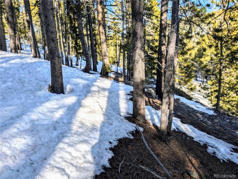 Lot 677 Alice Road Idaho Springs CO 80453