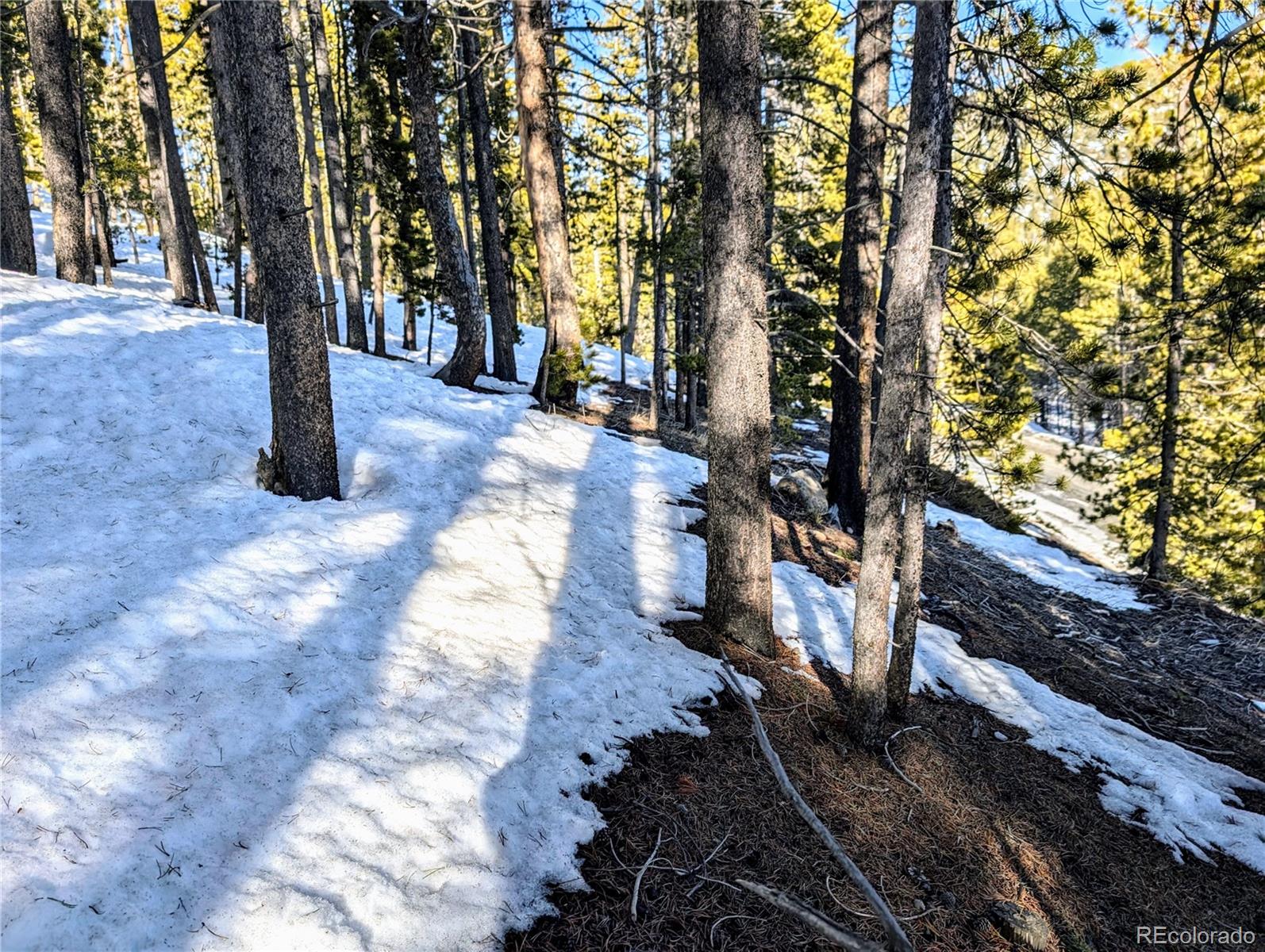 Lot 677 Alice Road Idaho Springs CO 80453