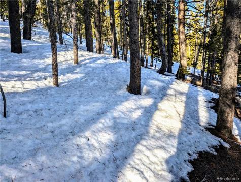 Lot 677 Alice Road Idaho Springs CO 80453