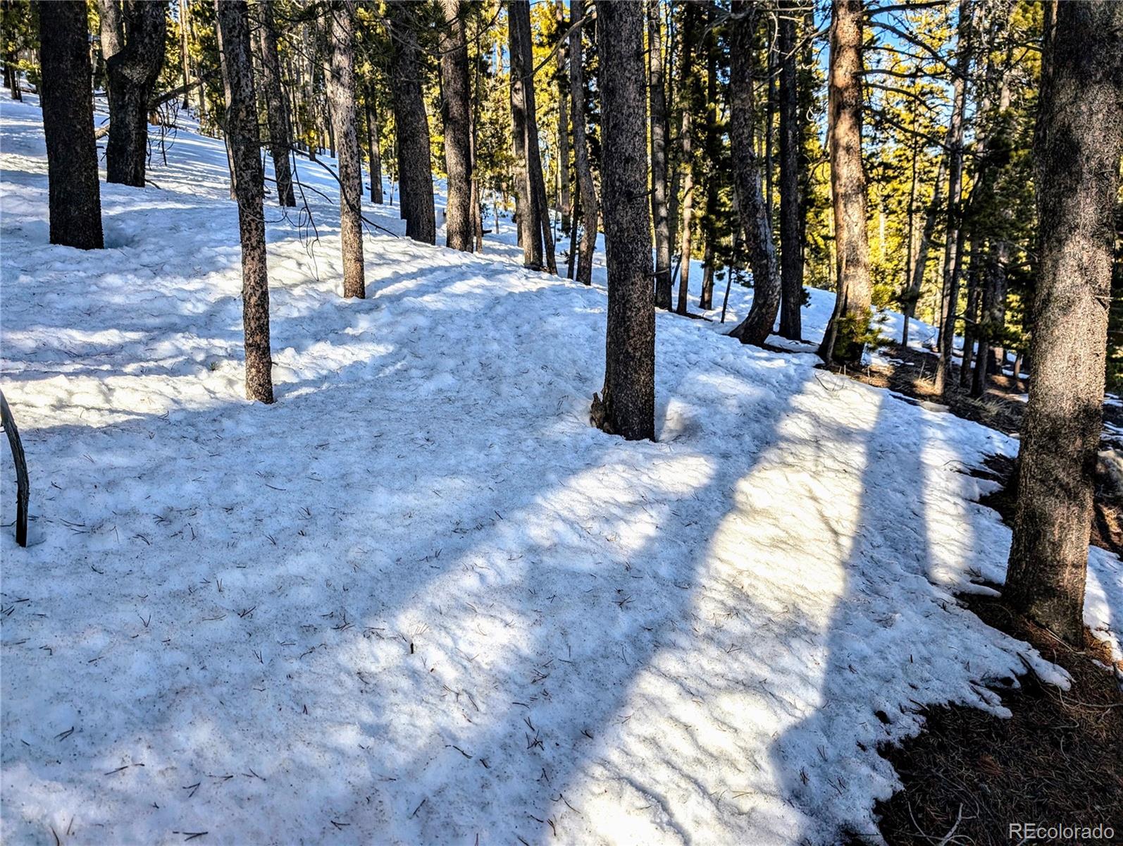 Lot 677 Alice Road Idaho Springs CO 80453