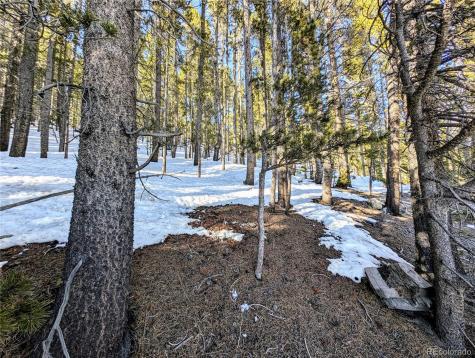 Lot 677 Alice Road Idaho Springs CO 80453