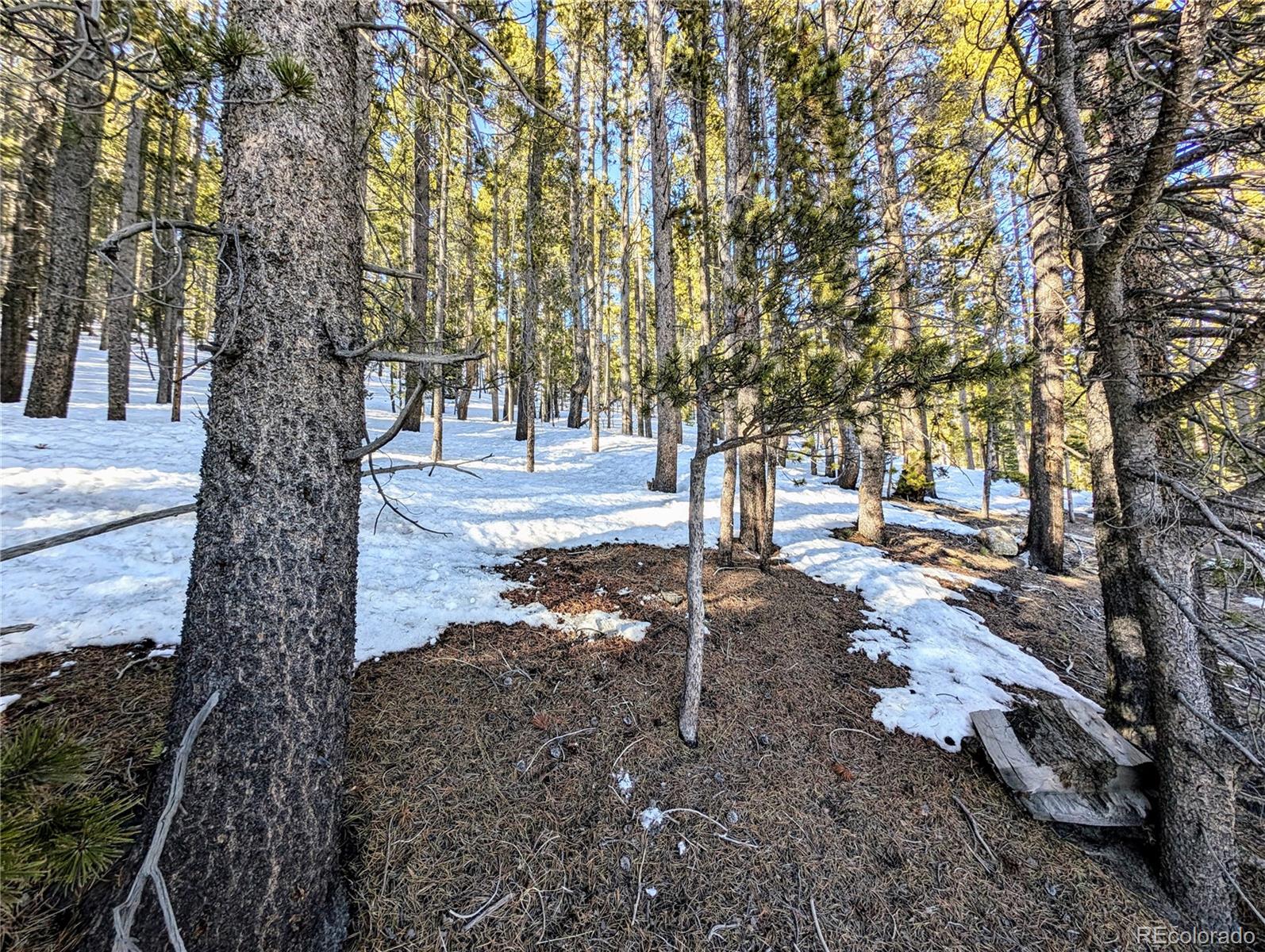 Lot 677 Alice Road Idaho Springs CO 80453