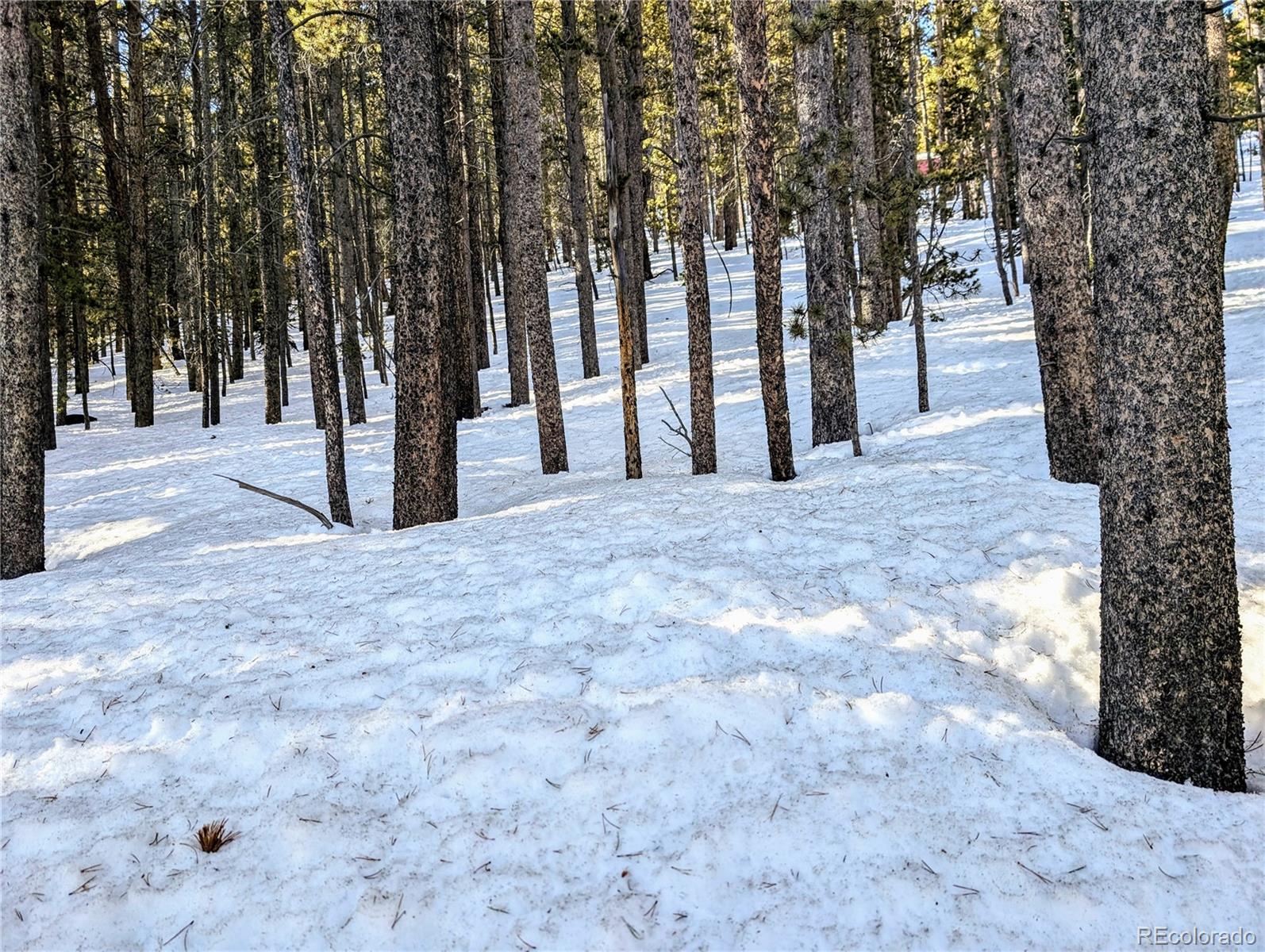 Lot 677 Alice Road Idaho Springs CO 80453