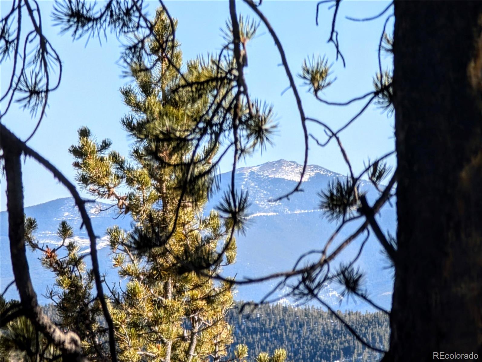 Lot 677 Alice Road Idaho Springs CO 80453