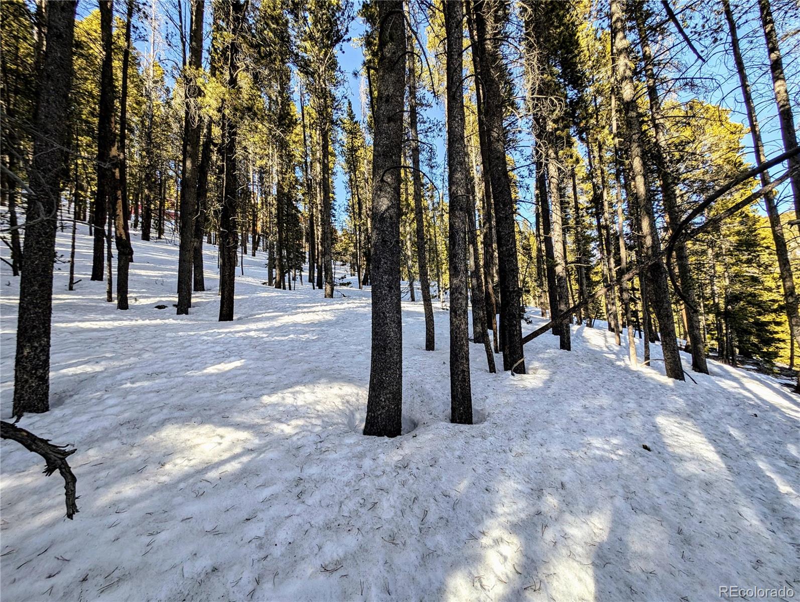 Lot 677 Alice Road Idaho Springs CO 80453