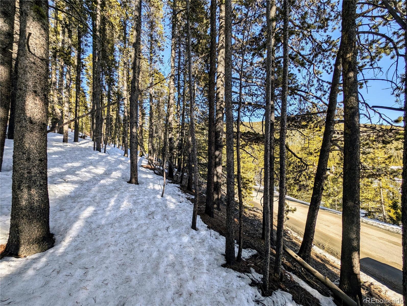 Lot 677 Alice Road Idaho Springs CO 80453