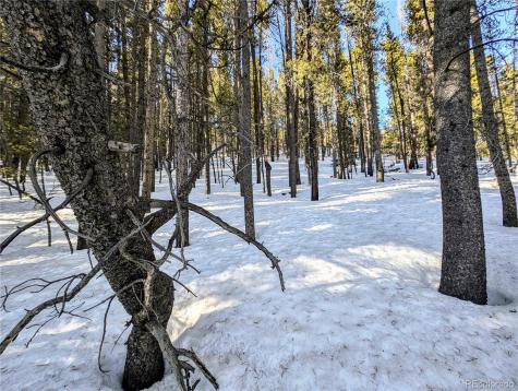 Lot 677 Alice Road Idaho Springs CO 80453