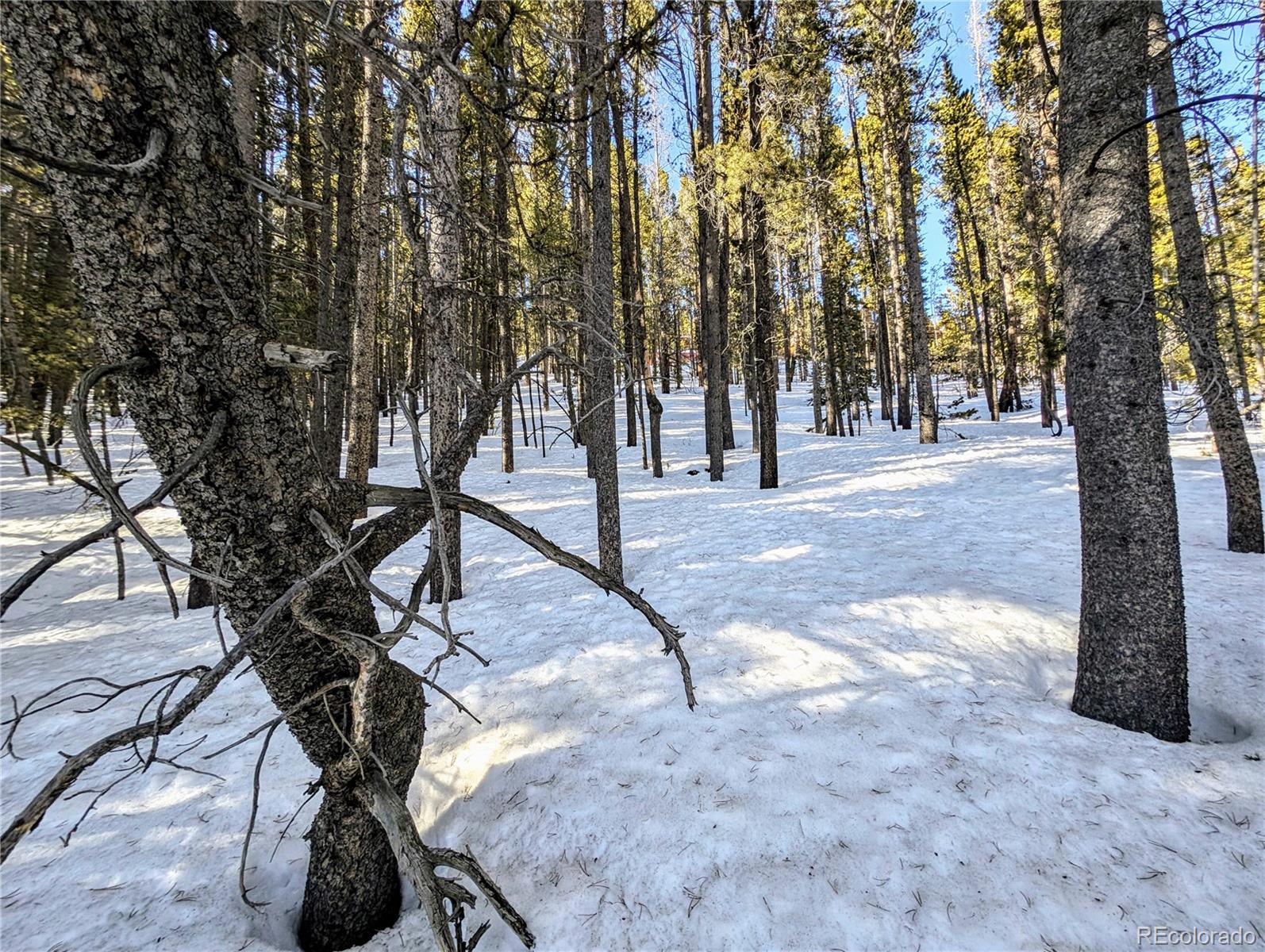 Lot 677 Alice Road Idaho Springs CO 80453