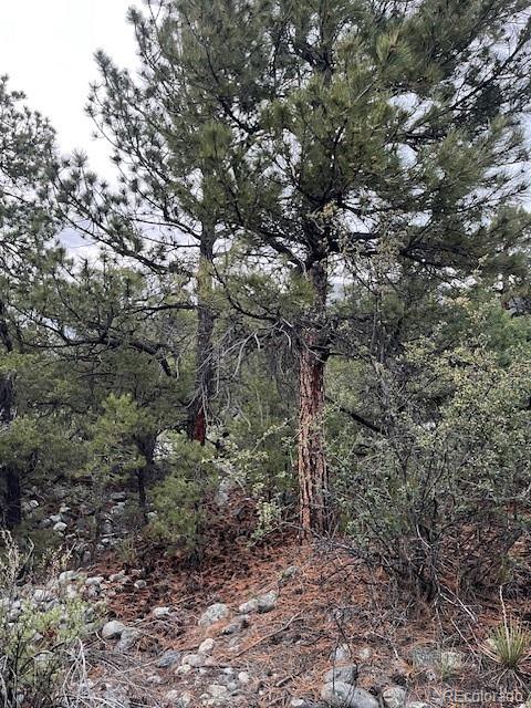 Lot 6 Nn 18th Street Blanca CO 81123