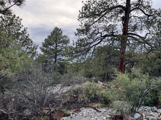 Lot 6 Nn 18th Street Blanca CO 81123