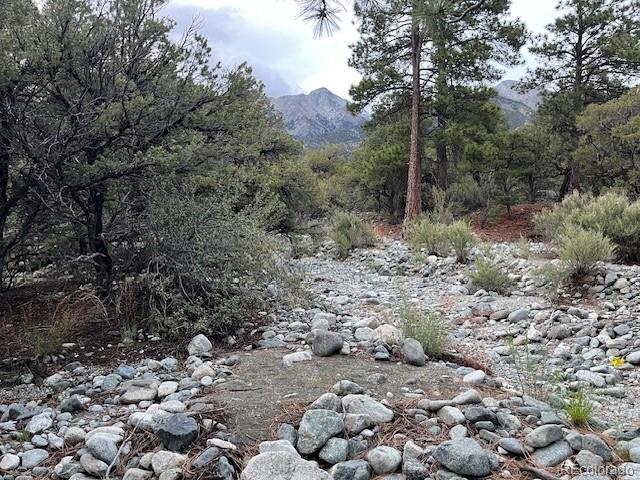 Lot 6 Nn 18th Street Blanca CO 81123