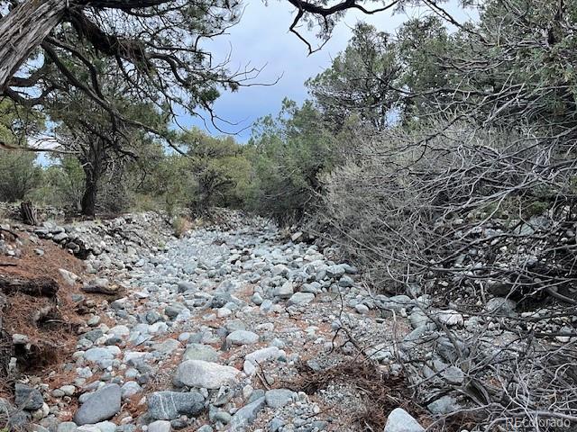 Lot 6 Nn 18th Street Blanca CO 81123