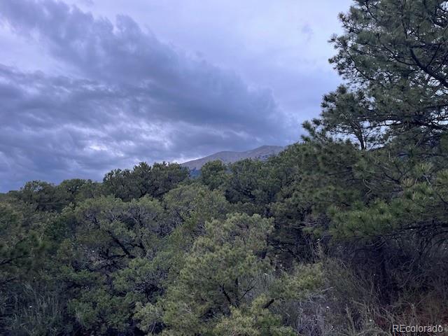 Lot 6 Nn 18th Street Blanca CO 81123