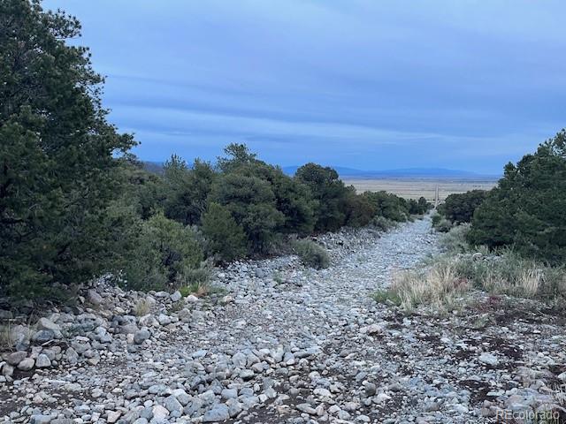 Lot 6 Nn 18th Street Blanca CO 81123