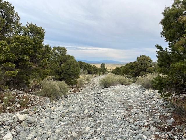 Lot 6 Nn 18th Street Blanca CO 81123