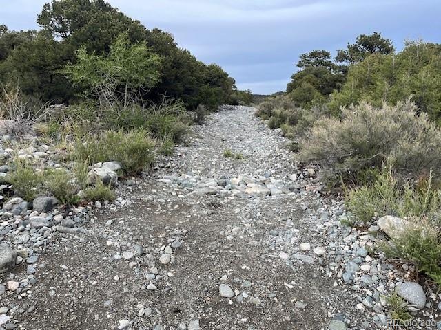 Lot 6 Nn 18th Street Blanca CO 81123