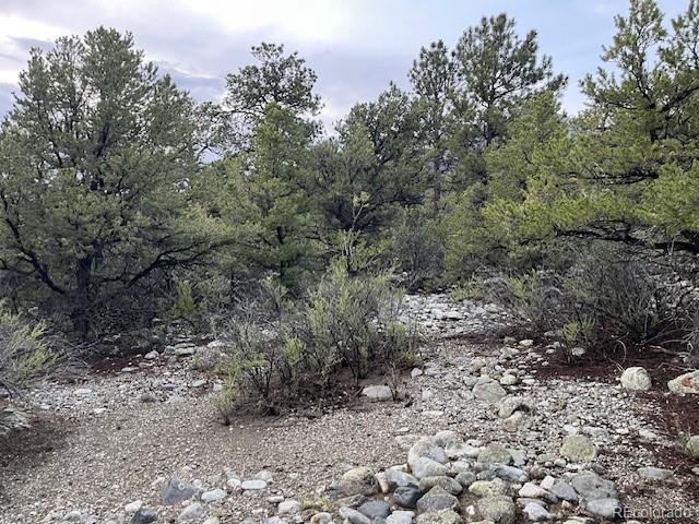 Lot 6 Nn 18th Street Blanca CO 81123