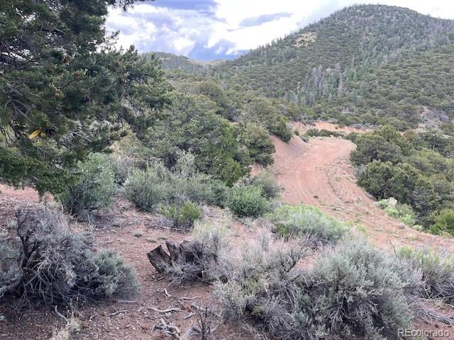 Lot 5056 France Aimee Road Fort Garland CO 81133