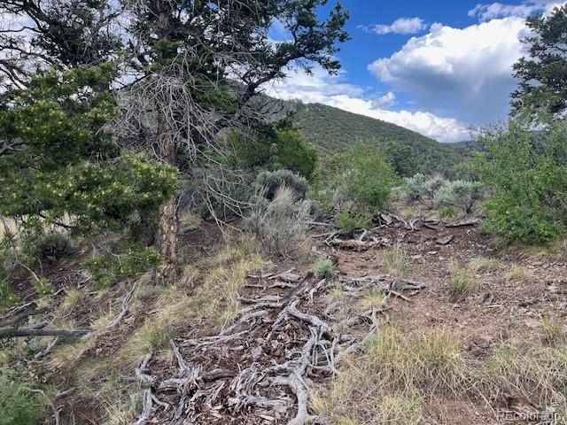 Lot 5056 France Aimee Road Fort Garland CO 81133
