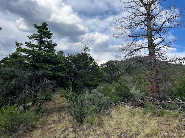 Lot 5056 France Aimee Road Fort Garland CO 81133