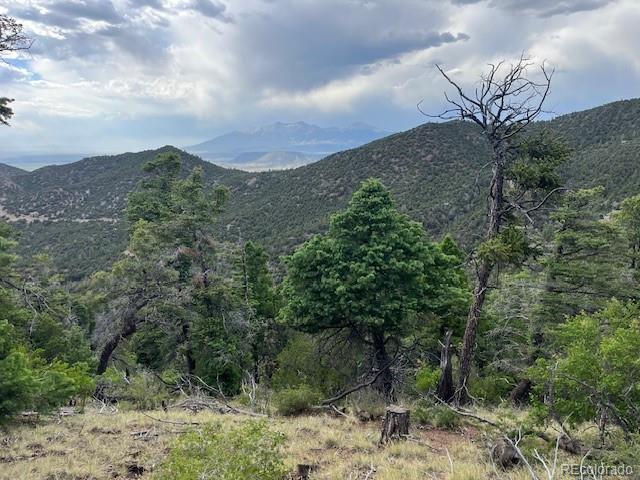 Lot 5056 France Aimee Road Fort Garland CO 81133