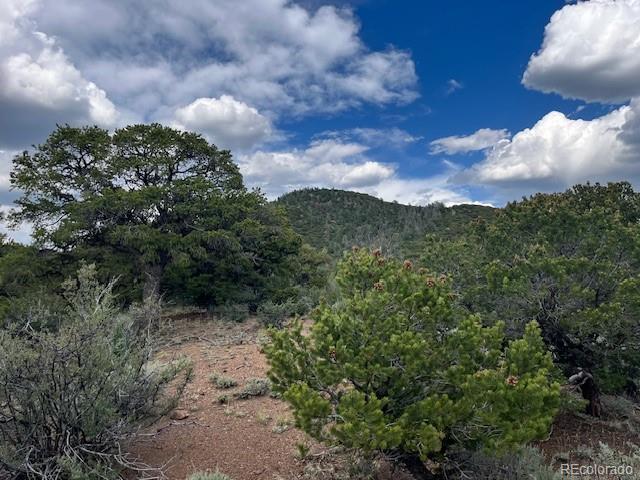 Lot 5056 France Aimee Road Fort Garland CO 81133