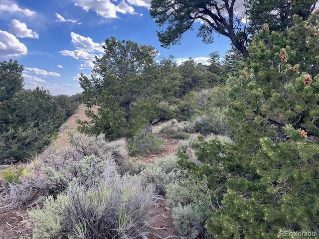 Lot 5056 France Aimee Road Fort Garland CO 81133