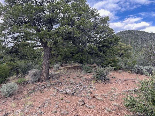 Lot 5056 France Aimee Road Fort Garland CO 81133