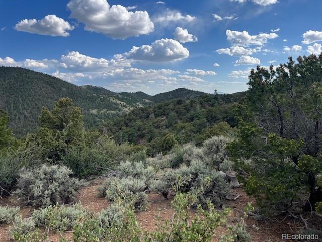 Lot 5056 France Aimee Road Fort Garland CO 81133