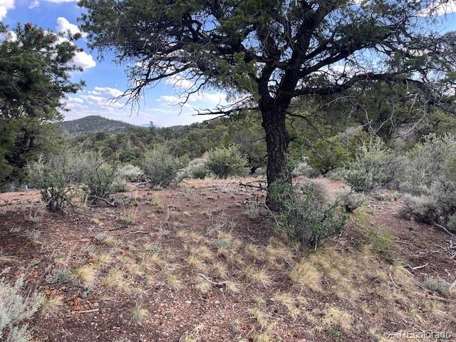 Lot 5056 France Aimee Road Fort Garland CO 81133