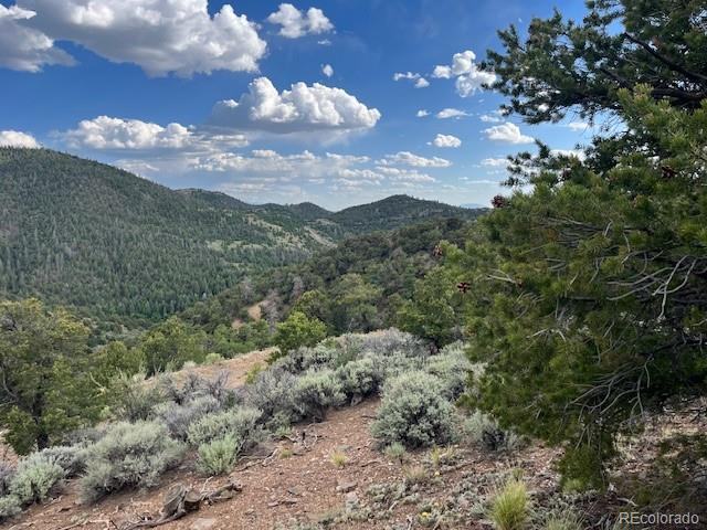 Lot 5056 France Aimee Road Fort Garland CO 81133