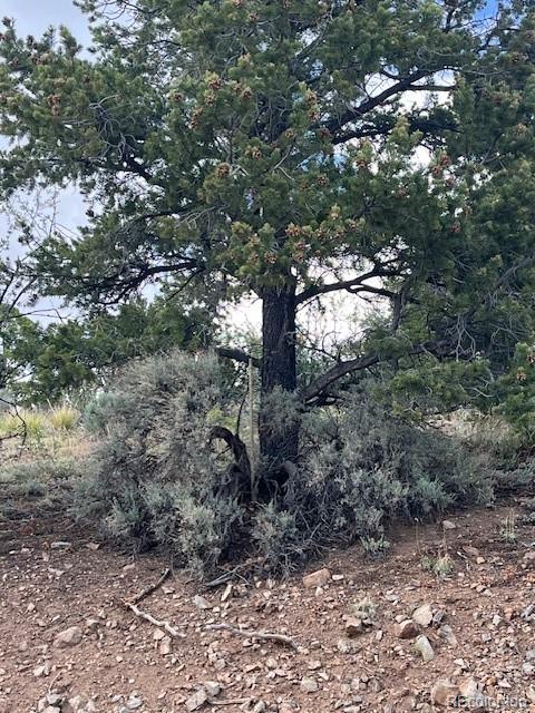 Lot 5056 France Aimee Road Fort Garland CO 81133