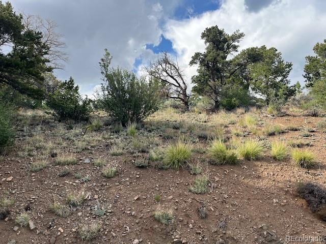Lot 5056 France Aimee Road Fort Garland CO 81133