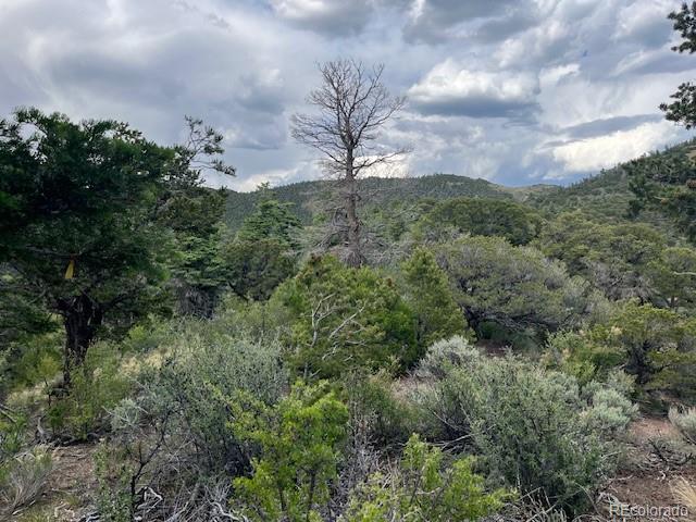 Lot 5056 France Aimee Road Fort Garland CO 81133