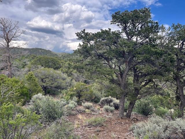 Lot 5056 France Aimee Road Fort Garland CO 81133