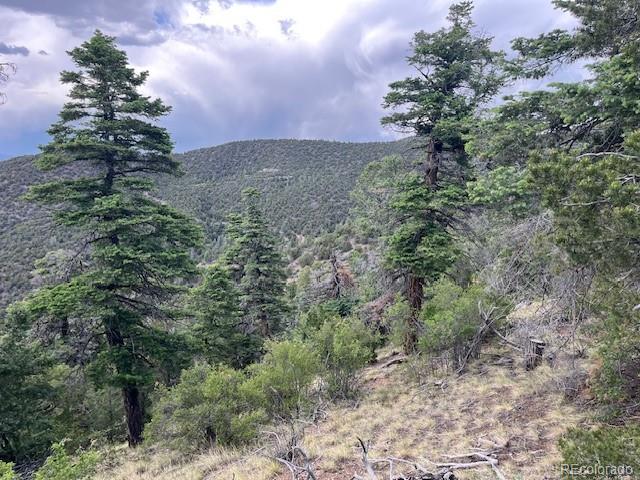 Lot 5056 France Aimee Road Fort Garland CO 81133