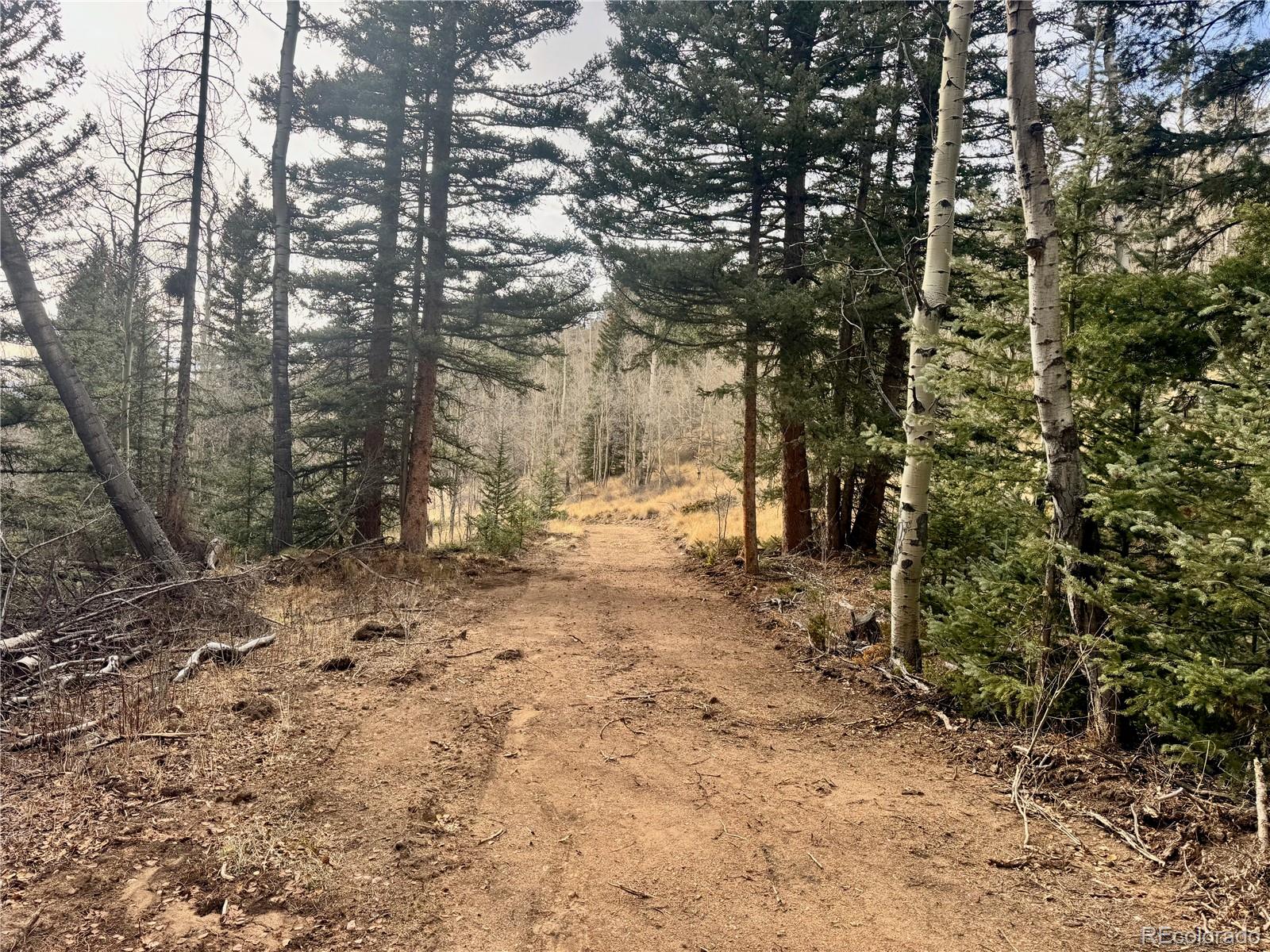 Ryland Road San Luis CO 81152