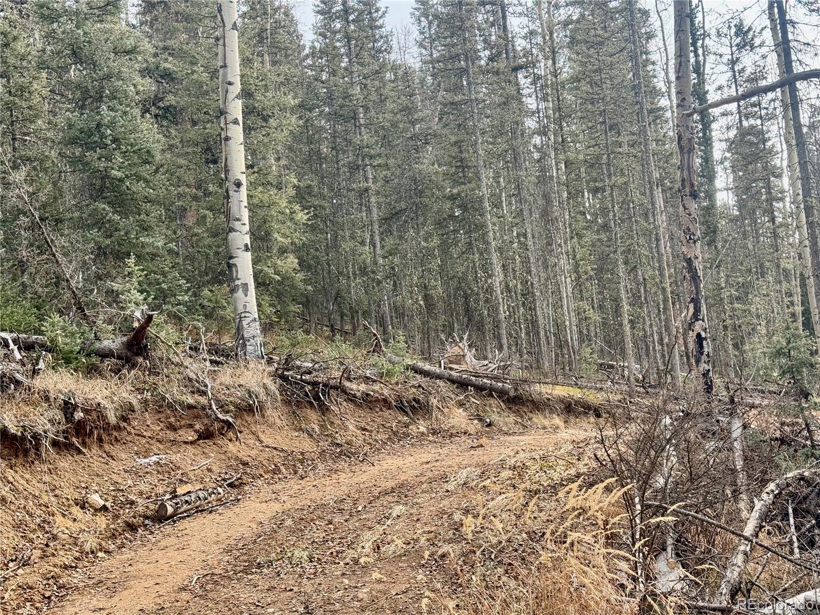 Ryland Road San Luis CO 81152