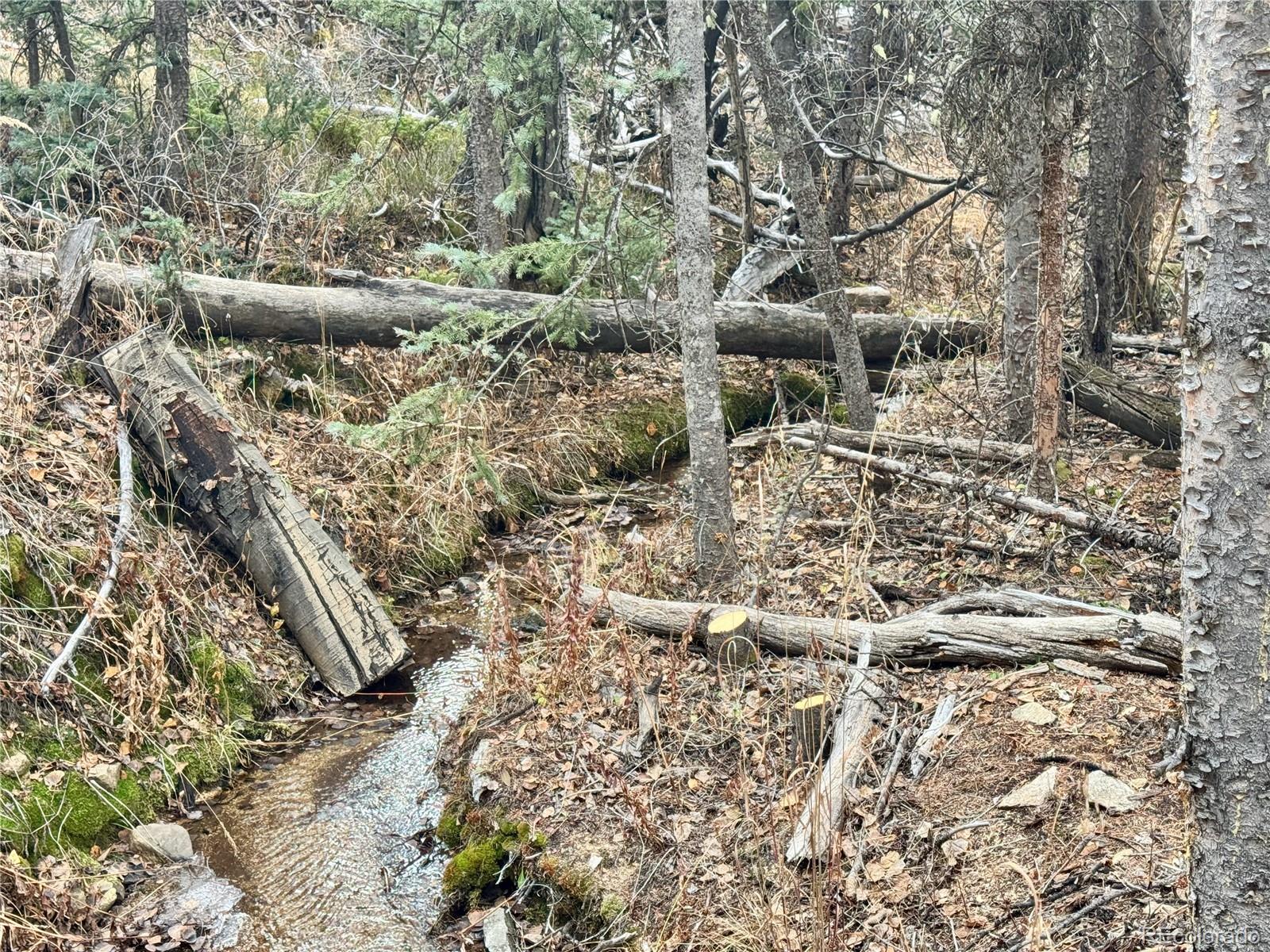 Ryland Road San Luis CO 81152