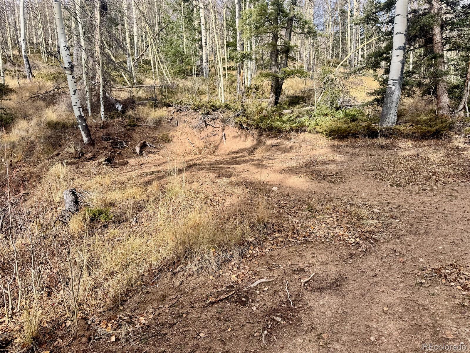 Ryland Road San Luis CO 81152
